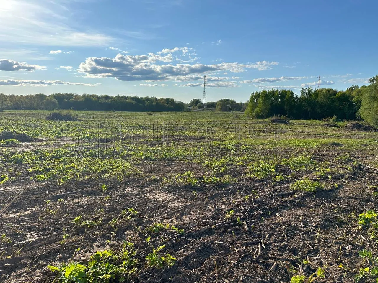 Участок, 8.99 сот. - фото 4