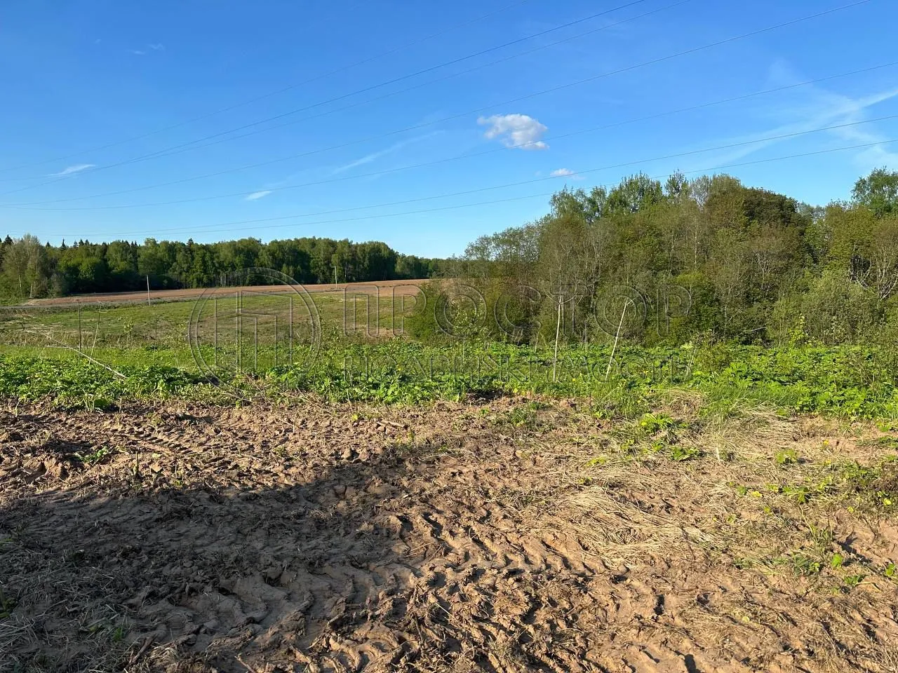 Участок, 8.99 сот. - фото 5