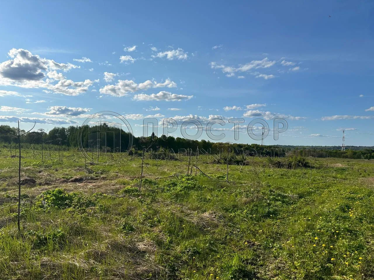 Участок, 8.99 сот. - фото 6