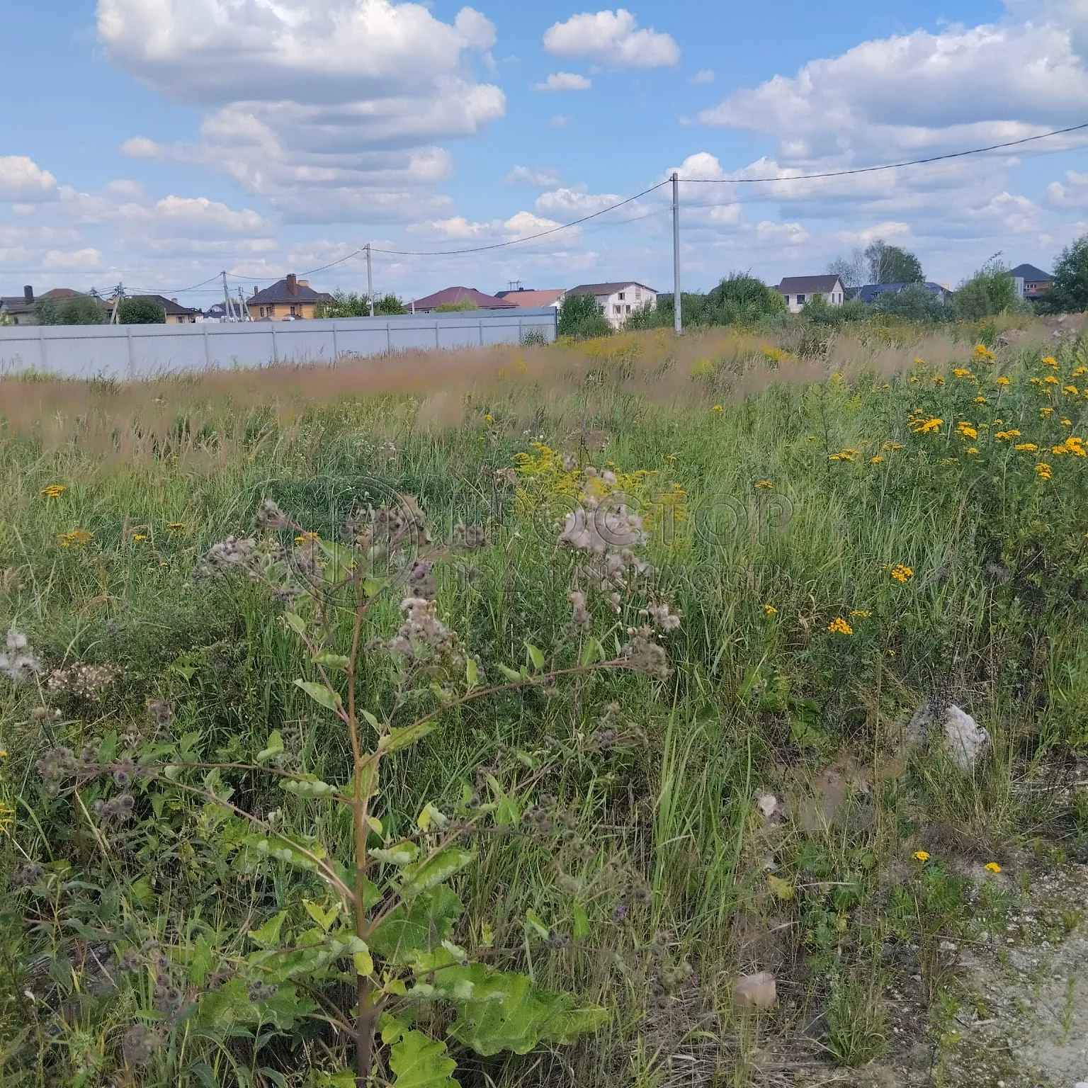 Участок, 7.25 сот. - фото 3