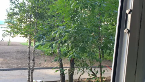 Студия, 22 м² - фото 10