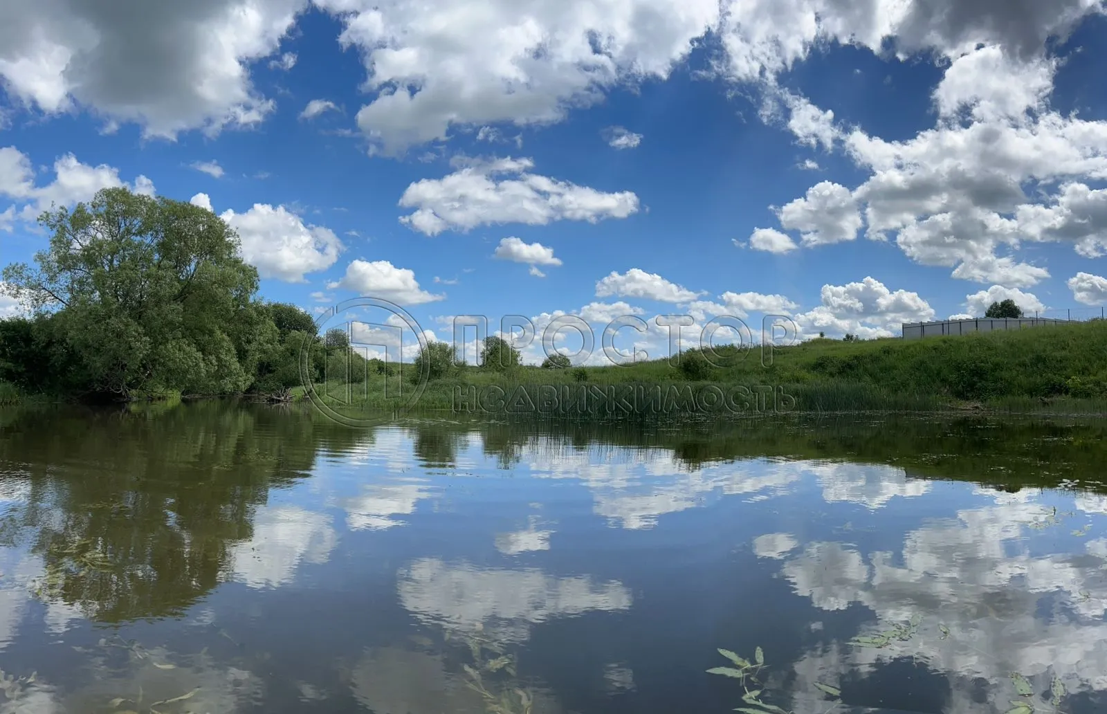 Участок, 73 сот. - фото 5