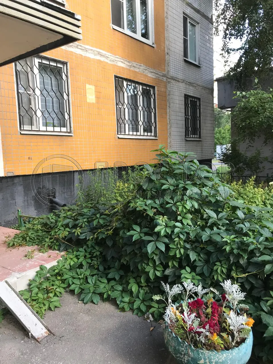 3-комнатная квартира, 50 м² - фото 2