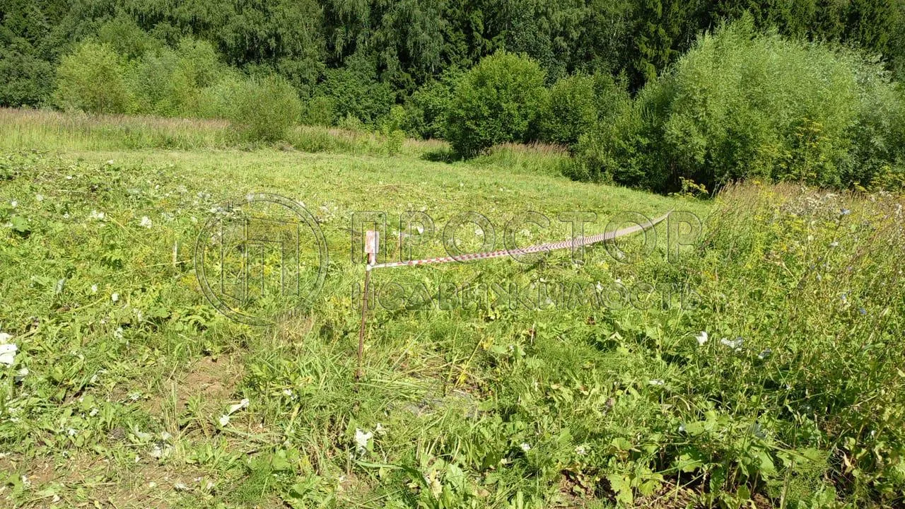 Участок, 28.4 сот. - фото 4