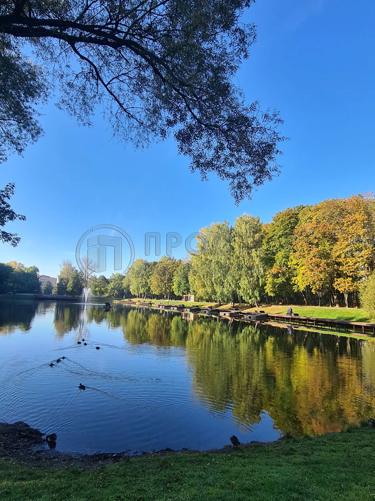 Студия, 27.6 м² - фото 13