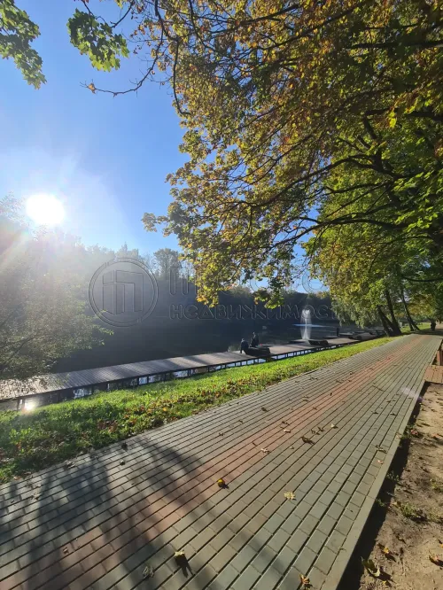 Студия, 27.6 м² - фото 16