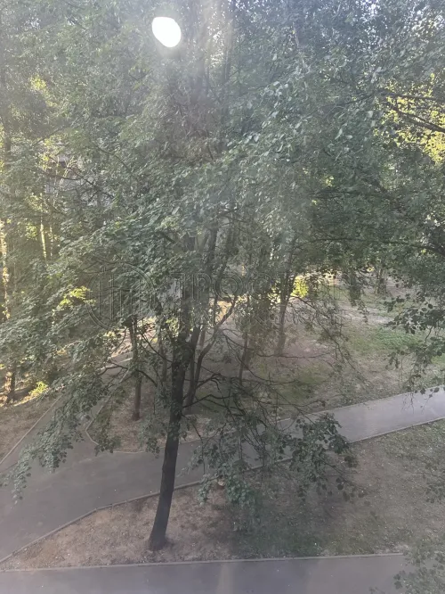 3-комнатная квартира, 56.1 м² - фото 18