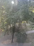 3-комнатная квартира, 56.1 м² - фото 37