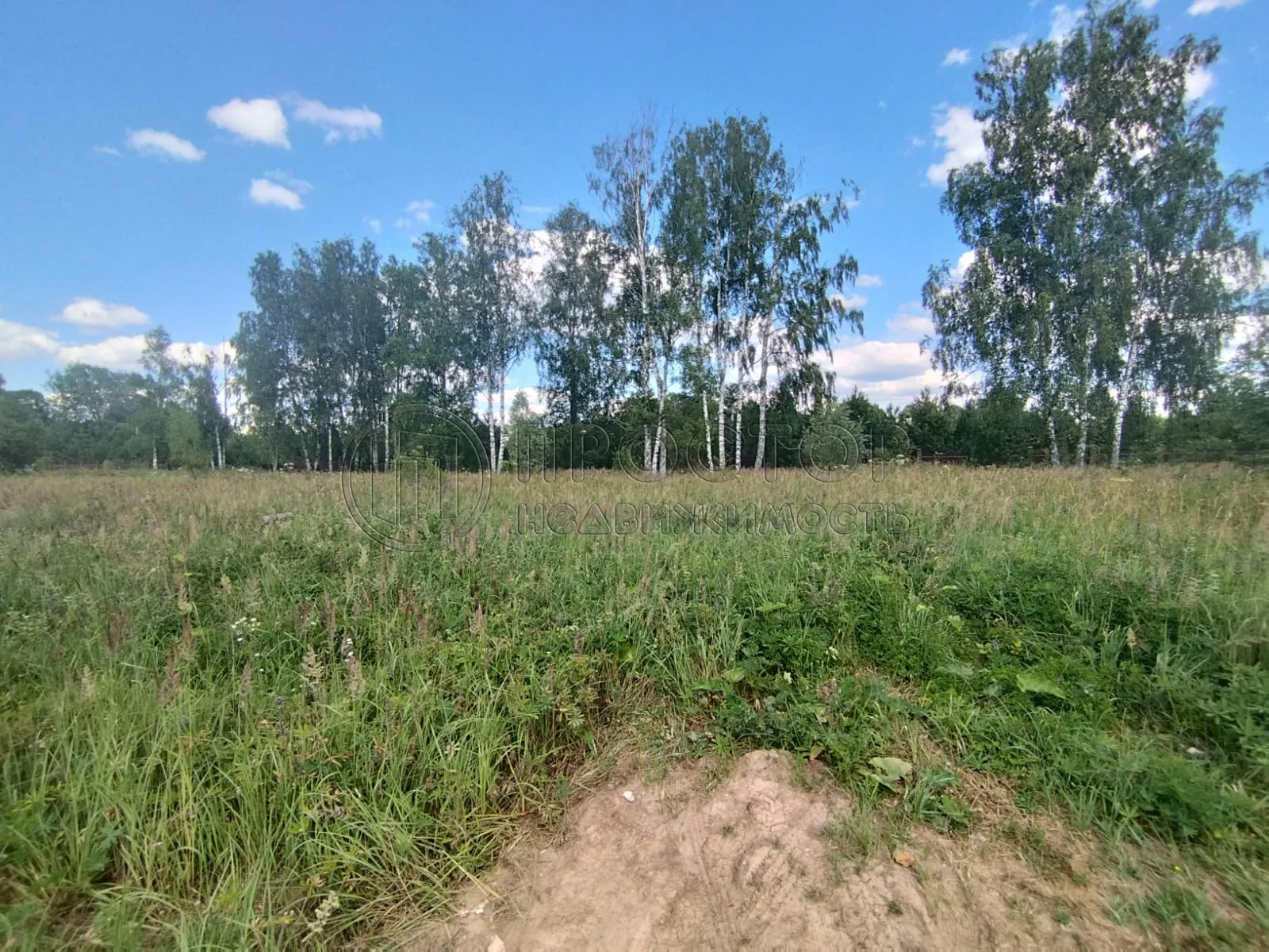 Участок, 7.5 сот. - фото 8