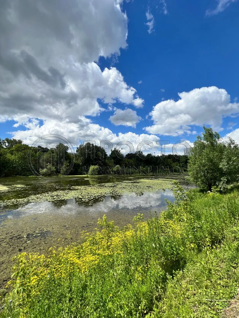 2-комнатная квартира, 38.4 м² - фото 10