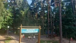 2-комнатная квартира, 73.2 м² - фото 66