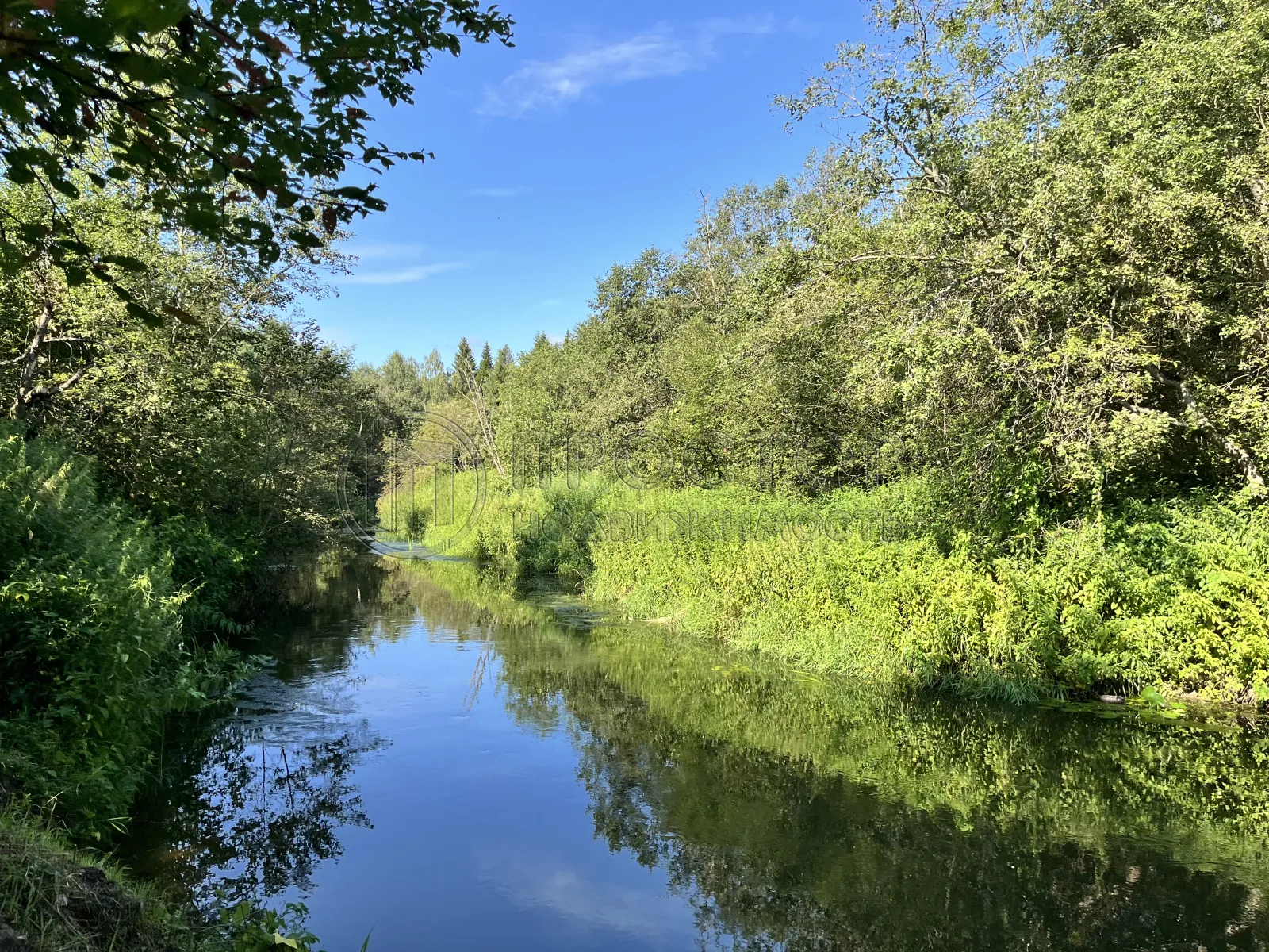 Участок, 14.63 сот. - фото 6