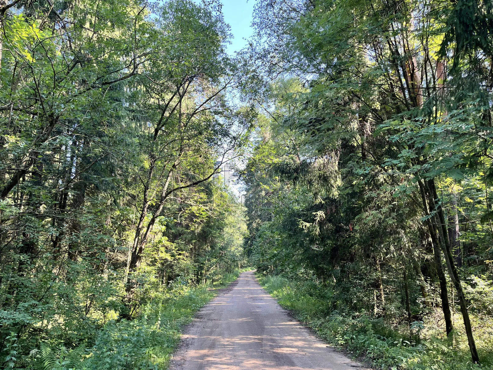 Участок, 14.63 сот. - фото 17