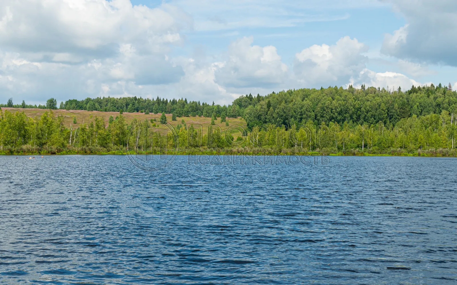 Участок, 7.33 сот. - фото 3