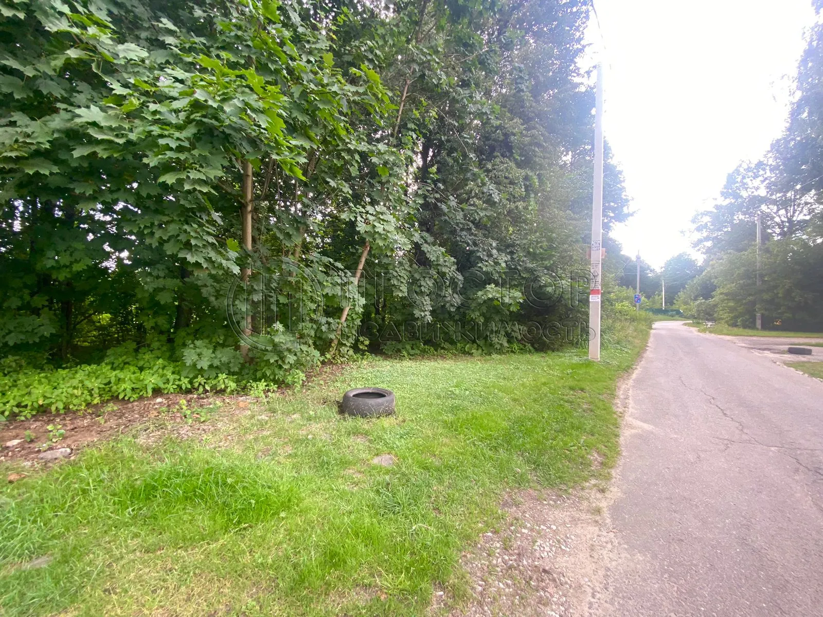 Участок, 22 сот. - фото 3