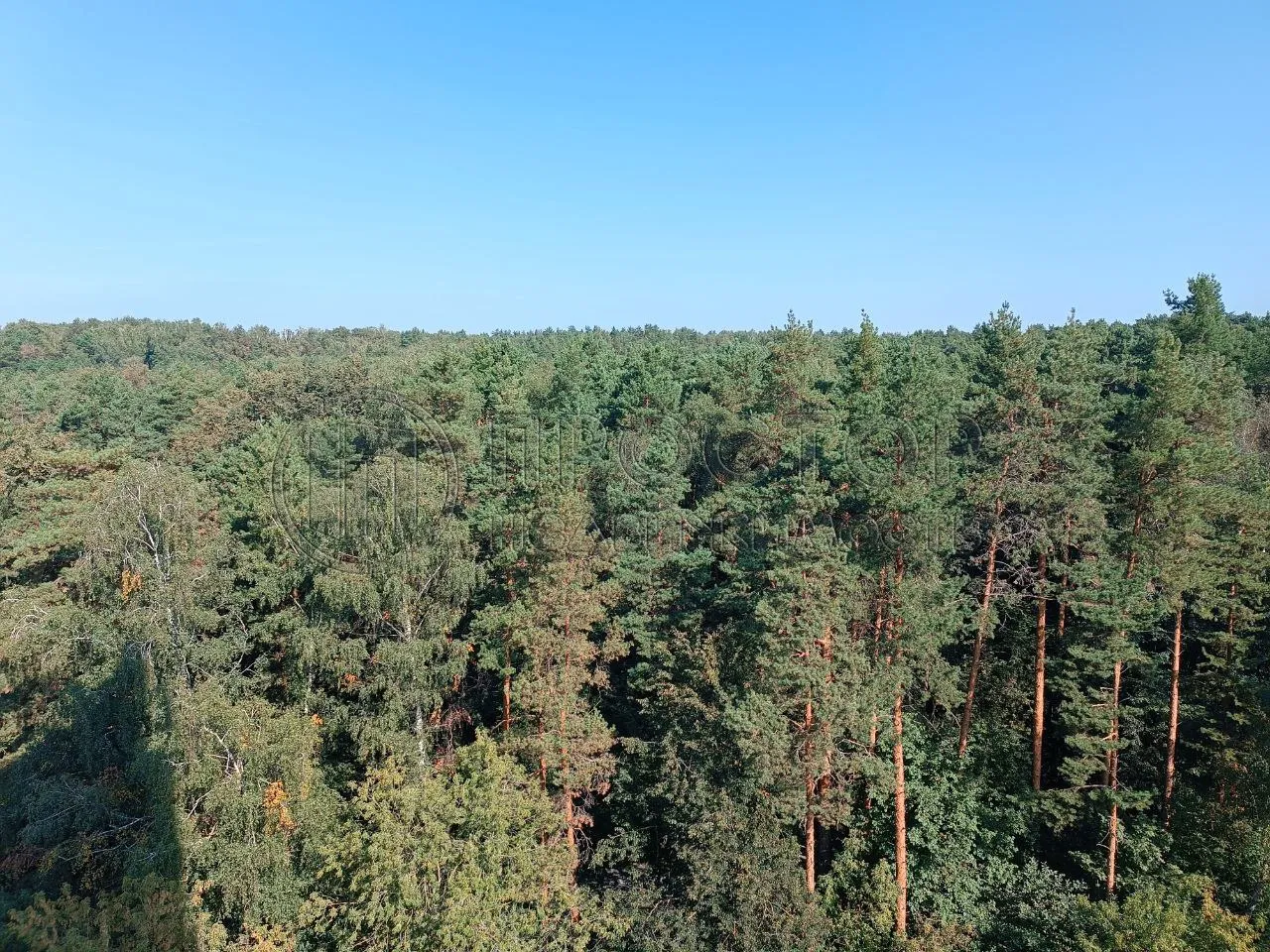 4-комнатная квартира, 76.7 м² - фото 11