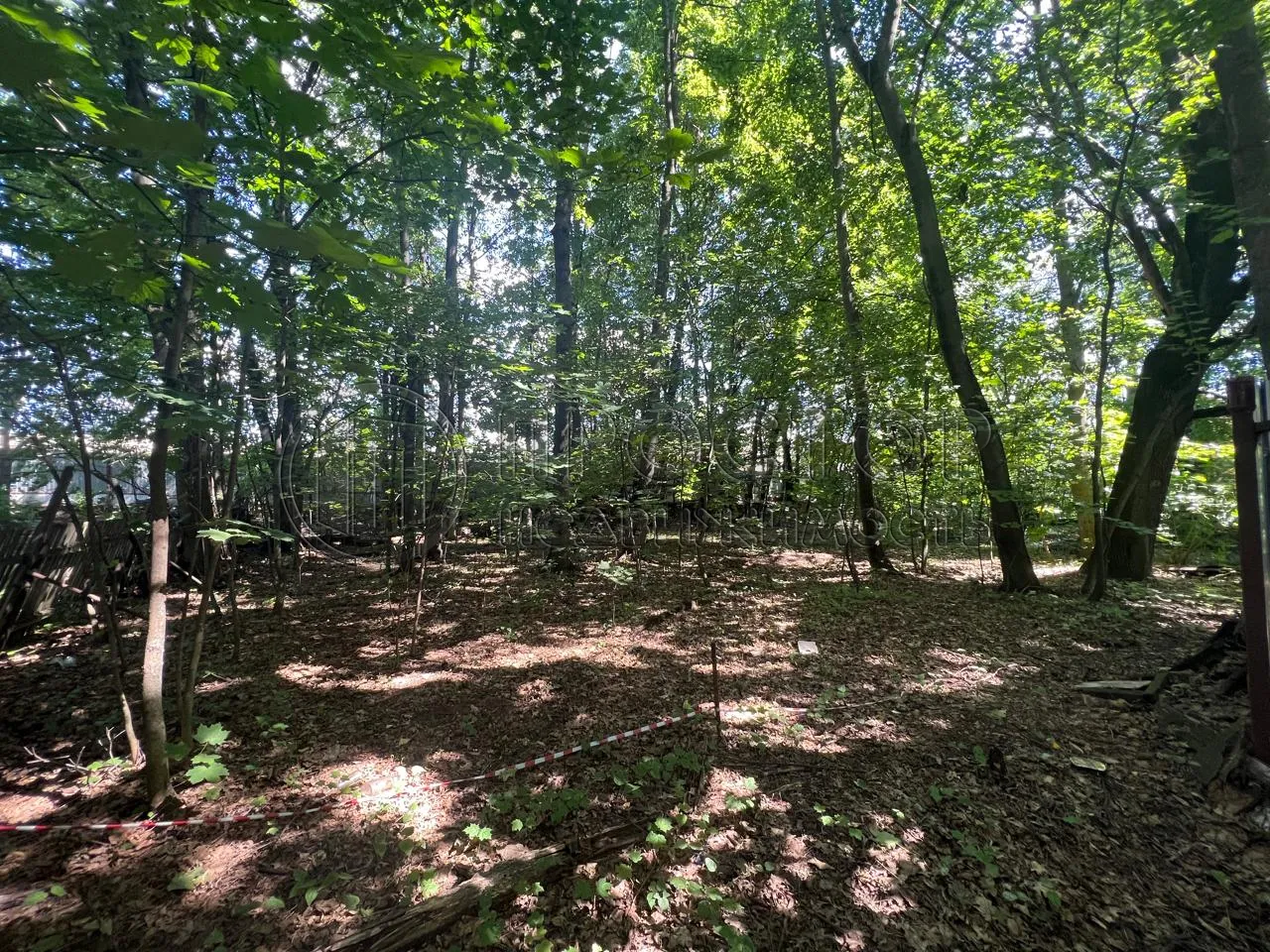 Участок, 12 сот. - фото 6