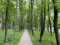 1-комнатная квартира, 37.4 м² - фото 38
