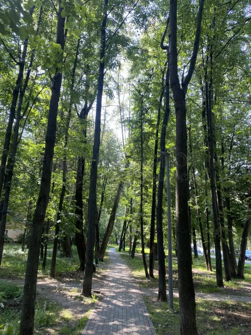 1-комнатная квартира, 37.4 м² - фото 18