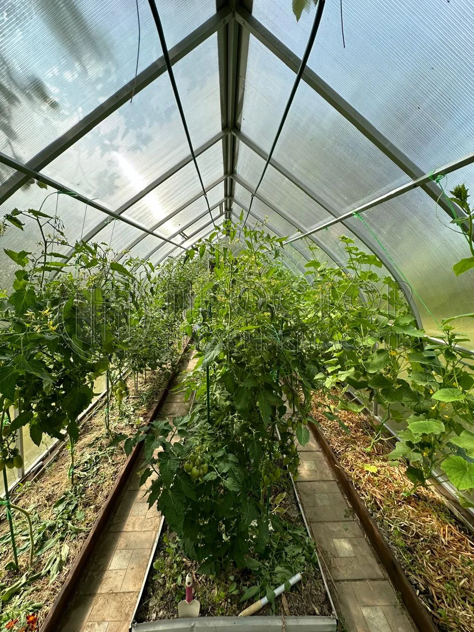 Участок, 6 сот. - фото 20