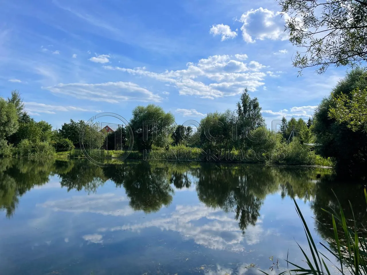 Участок, 15 сот. - фото 5