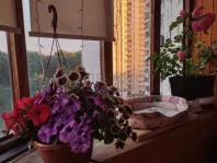 2-комнатная квартира, 53.3 м² - фото 28