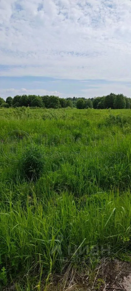 Участок, 7.1 сот. - фото 2