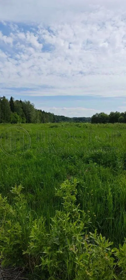 Участок, 7.1 сот. - фото 3