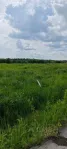 Участок, 7.1 сот. - фото 7