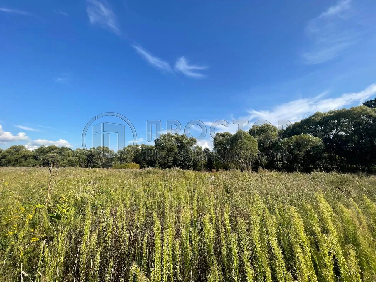 Участок, 8.2 сот. - фото 2