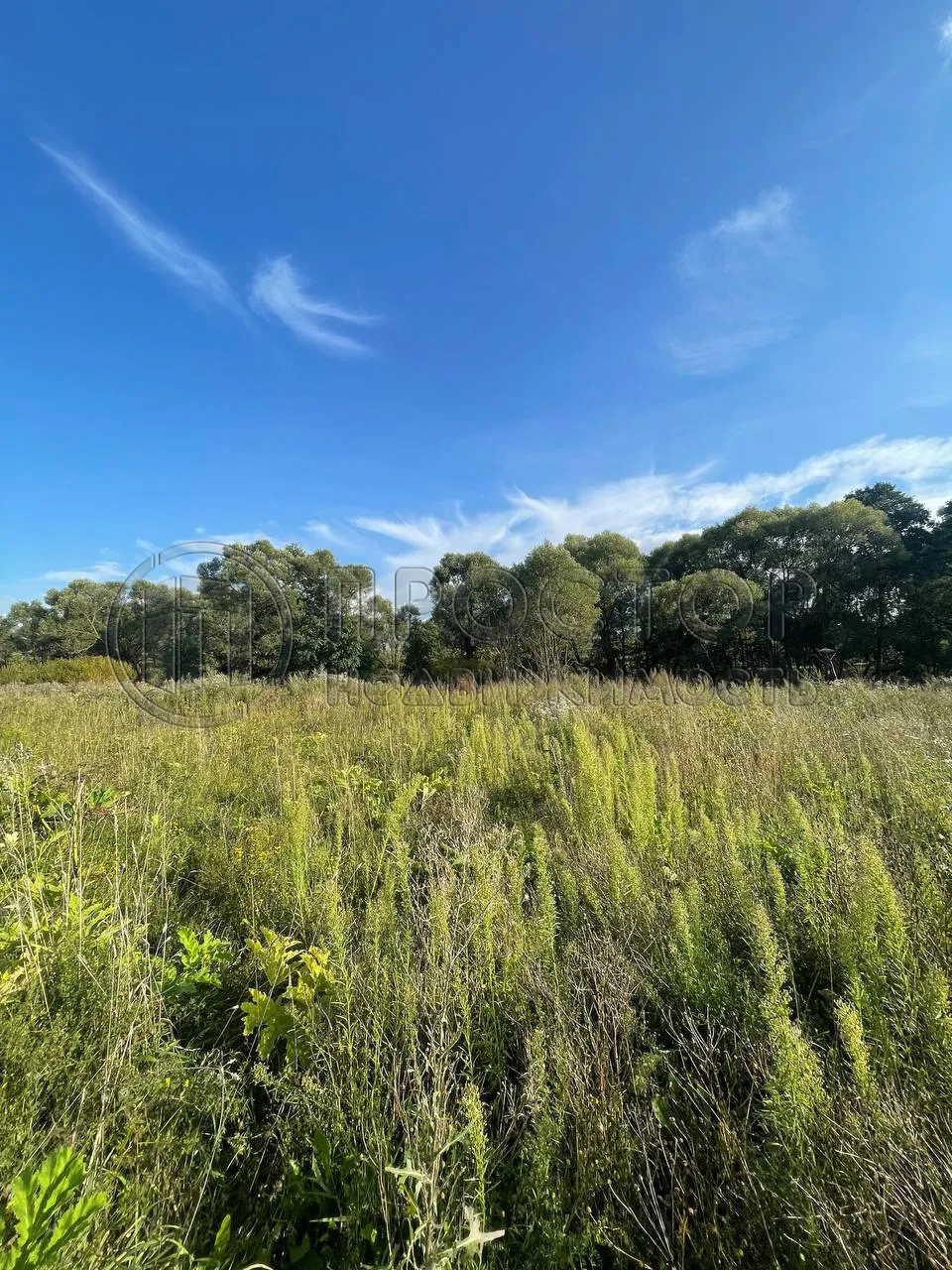 Участок, 8.2 сот. - фото 3