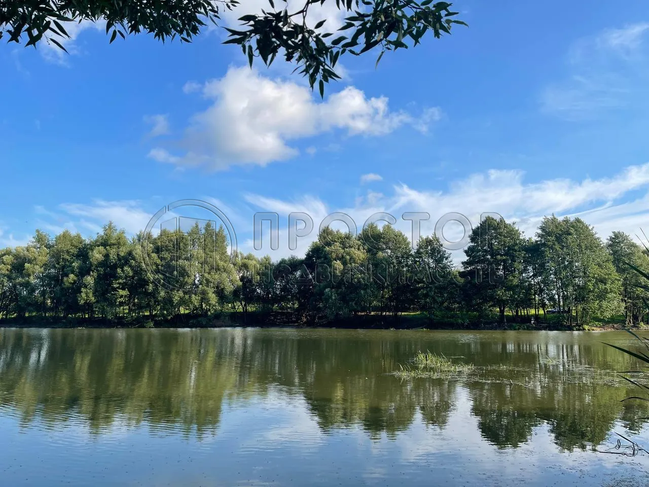 Участок, 8.2 сот. - фото 8