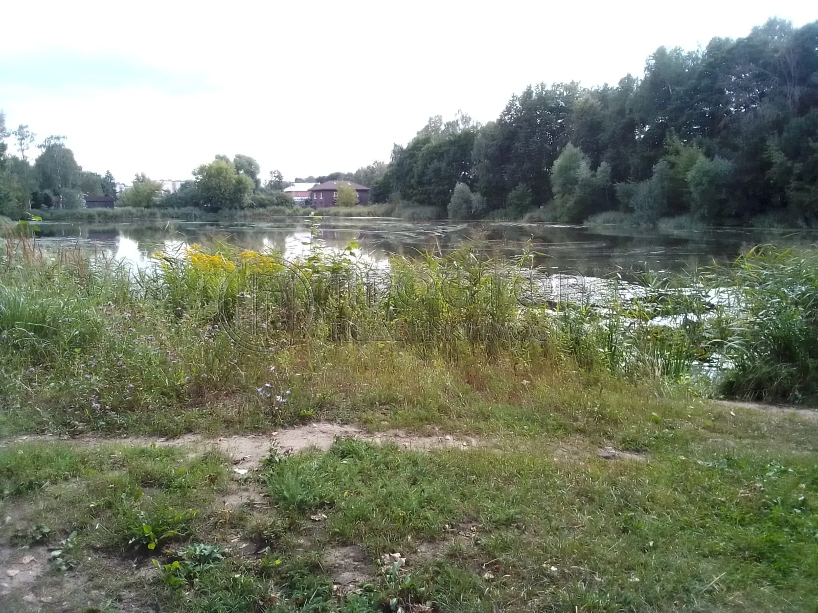 Участок, 5 сот. - фото 2