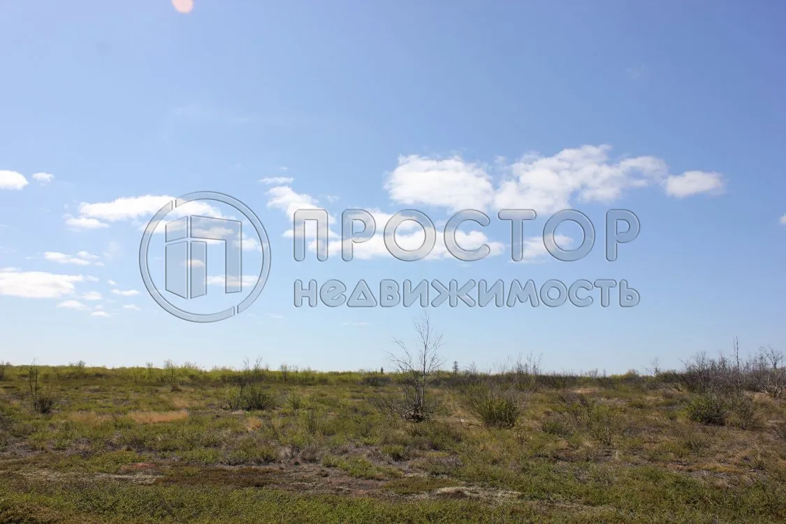 Участок, 6 сот. - фото 2