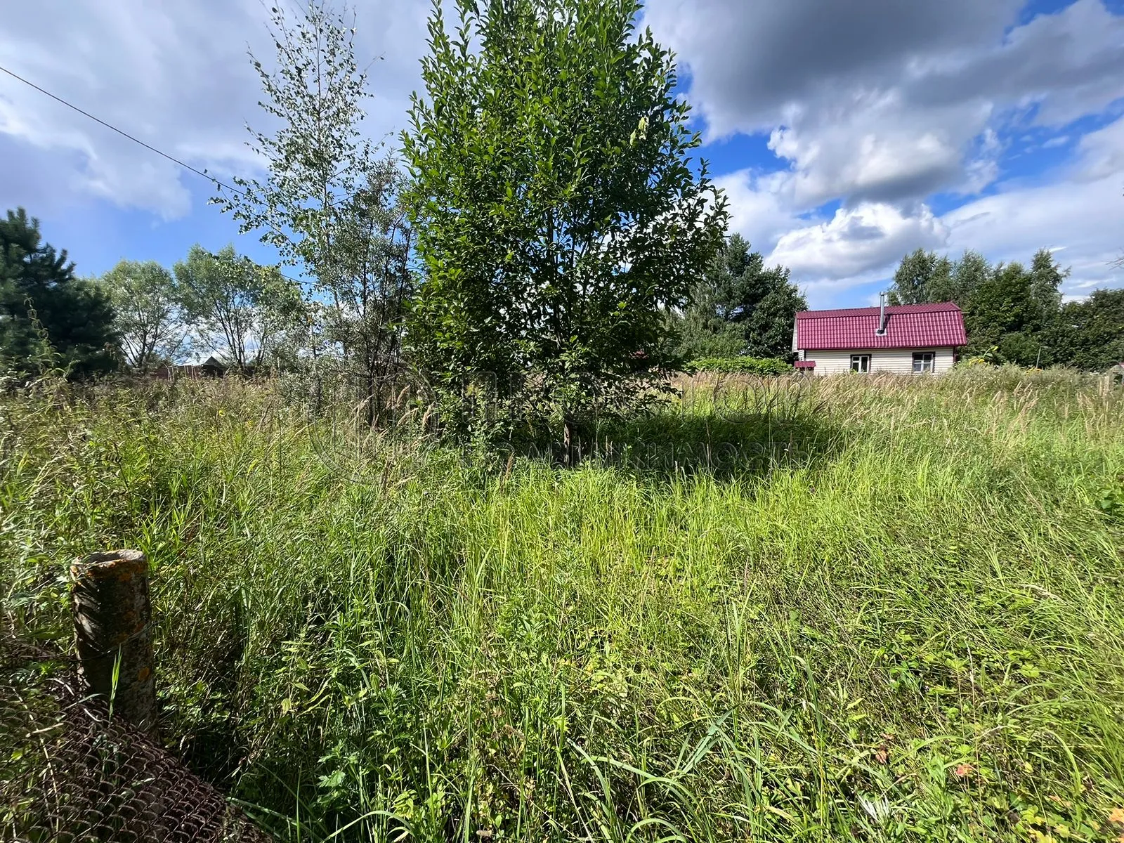 Участок, 10 сот. - фото 4