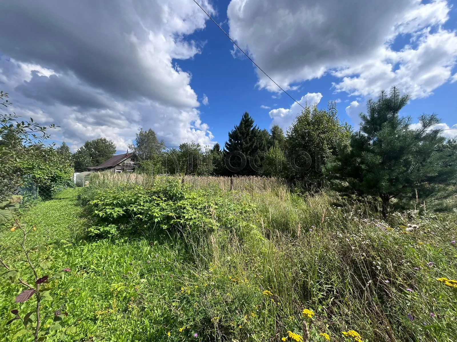 Участок, 10 сот. - фото 8