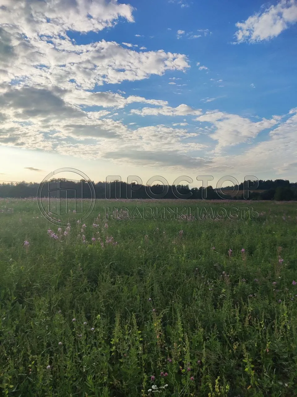 Участок, 10 сот. - фото 11