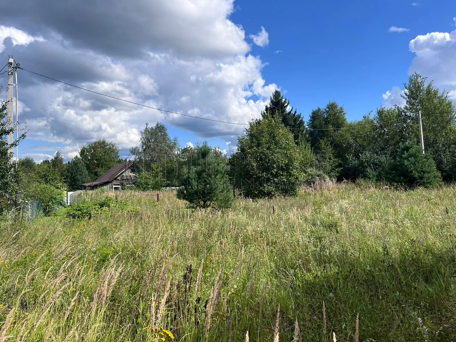 Участок, 10 сот. - фото 13