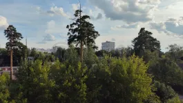 1-комнатная квартира, 42 м² - фото 25