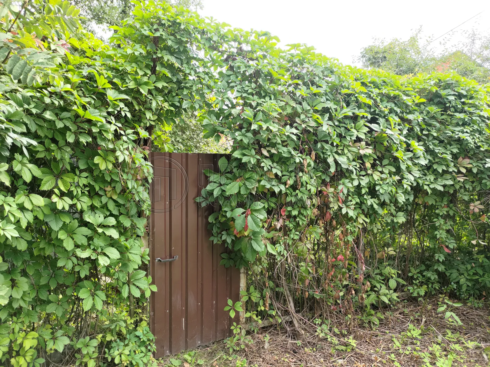 Участок, 8.6 сот. - фото 3