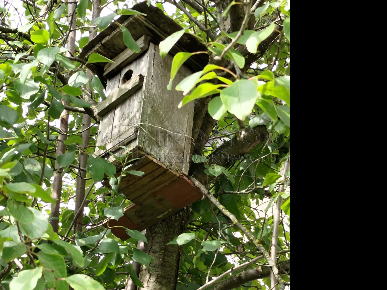 Участок, 8.6 сот. - фото 9