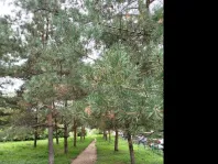 2-комнатная квартира, 63.4 м² - фото 27