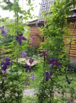 Коммерческая недвижимость (земельный участок),  м² - фото 41