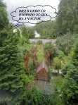 Коммерческая недвижимость (земельный участок),  м² - фото 55