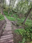 Коммерческая недвижимость (земельный участок),  м² - фото 67