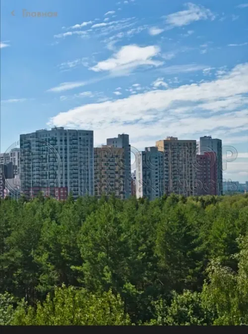 2-комнатная квартира, 55.8 м² - фото 3