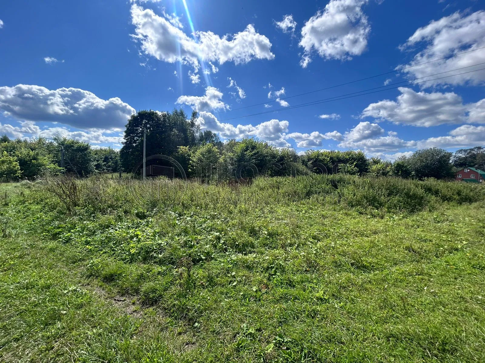 Участок, 25 сот. - фото 4