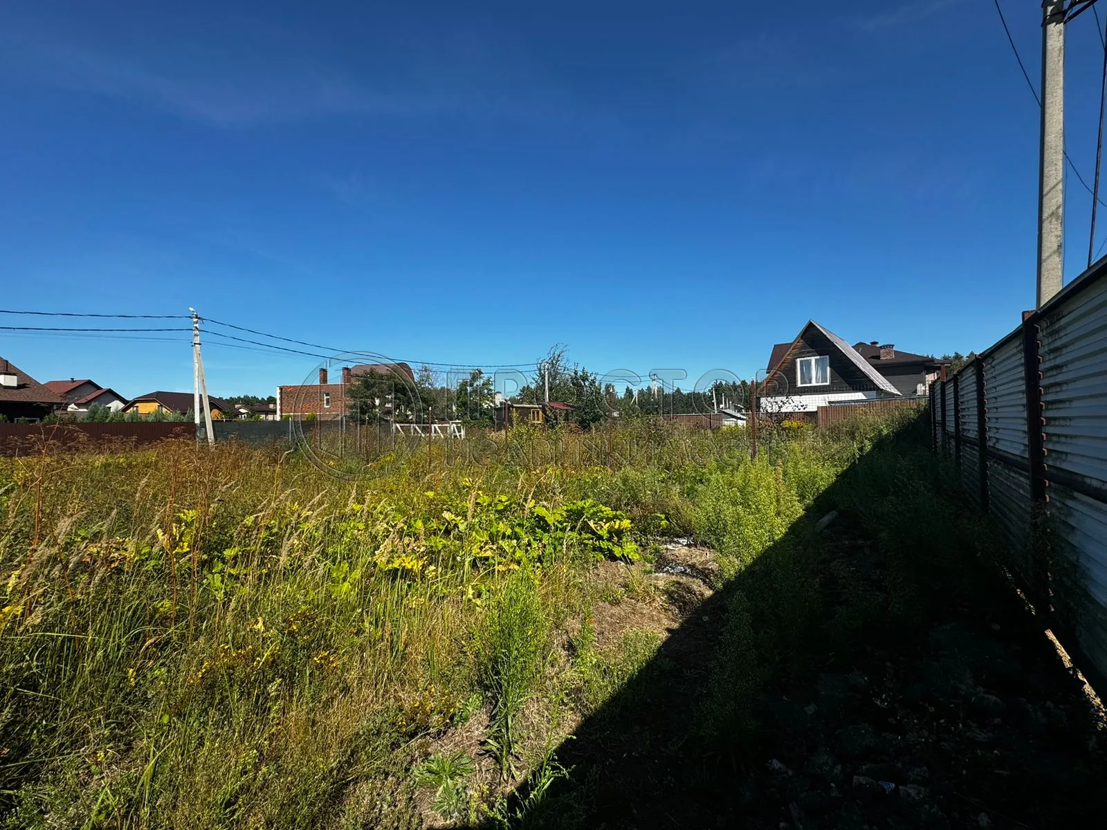 Участок, 100 сот. - фото 2