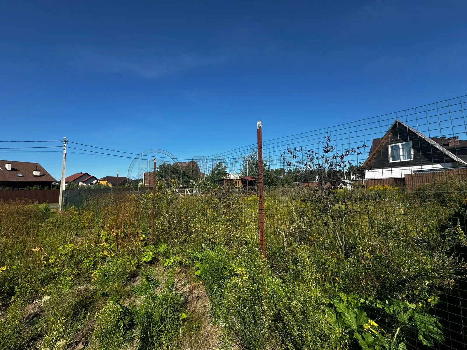 Участок, 100 сот. - фото 8