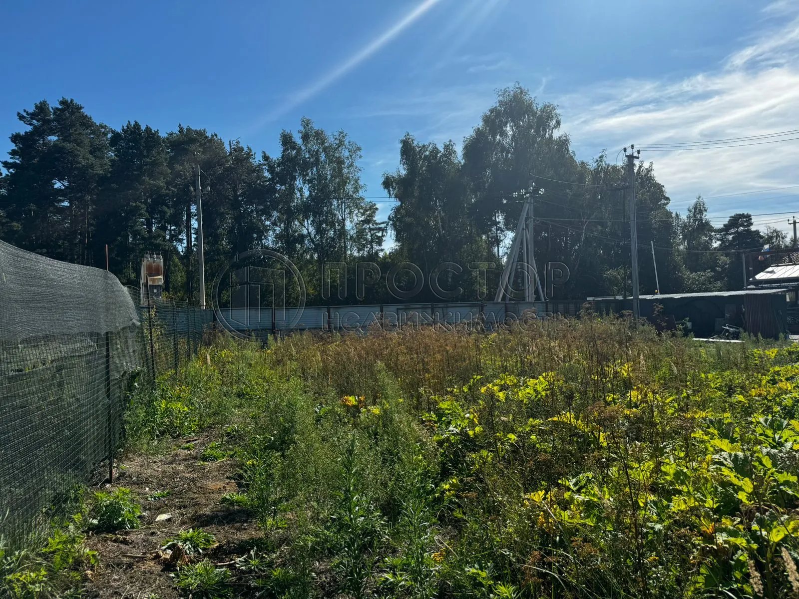 Участок, 100 сот. - фото 12